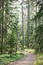 Viru Bog, Estonia