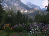 Neuschwanstein
