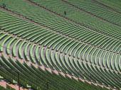 Olympic Park, Munich