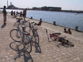 bikes along canal, Copenhagen