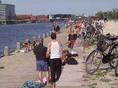 bikes along canal, Copenhagen